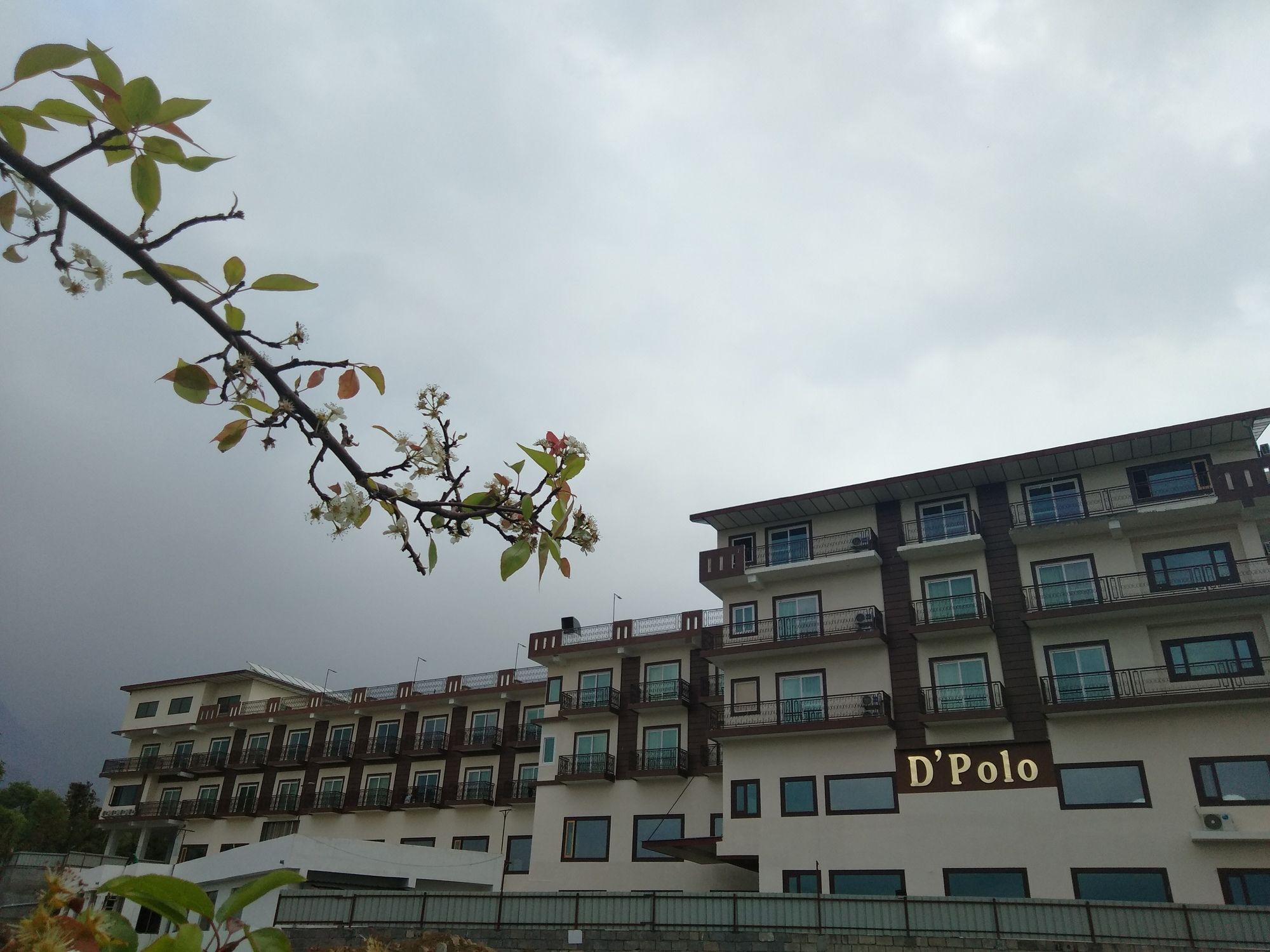D'Polo Club & Spa Resort 다람샬라 외부 사진
